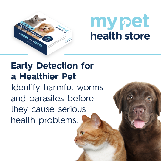 Parasite & Worm Test For Dogs & Cats