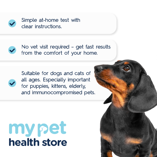 Parasite & Worm Test For Dogs & Cats
