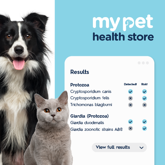 Parasite & Worm Test For Dogs & Cats