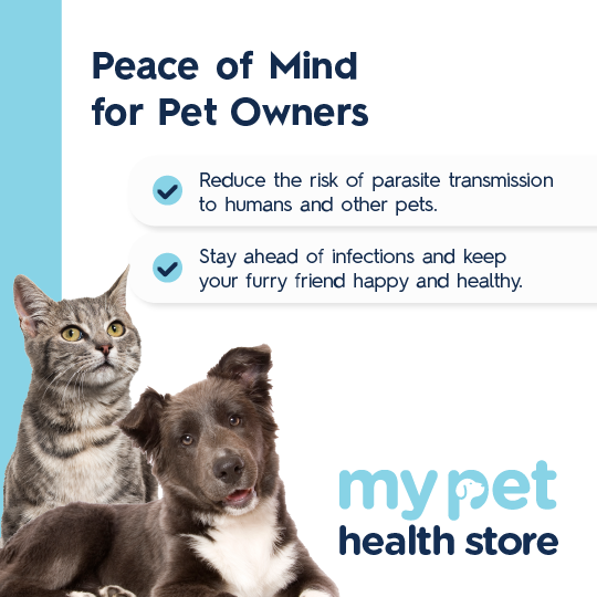 Parasite & Worm Test For Dogs & Cats