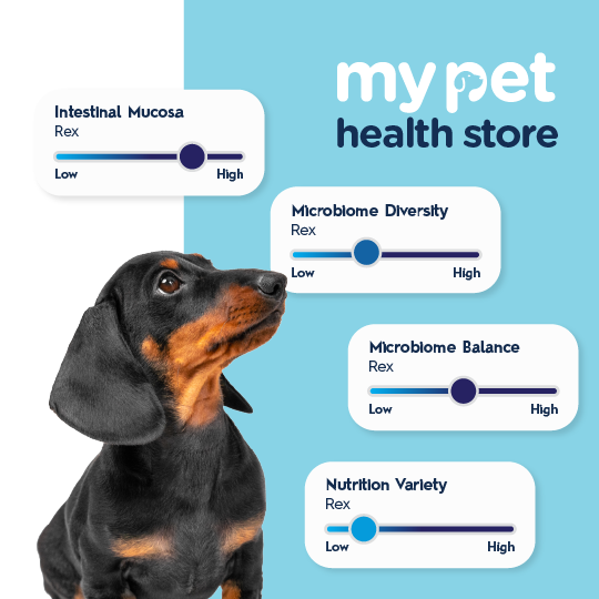 Dog Microbiome Test