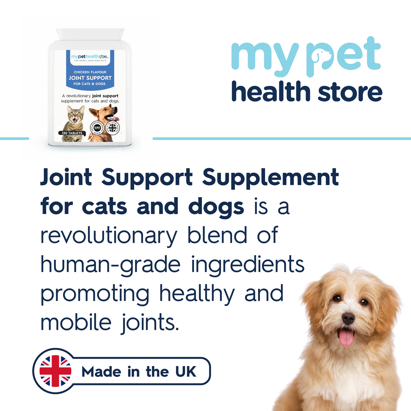 Pet Joint Support for Cats & Dogs