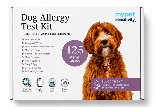 5 Reasons Why Dog Owners Choose the My Pet Sensitivity Dog Allergy Test