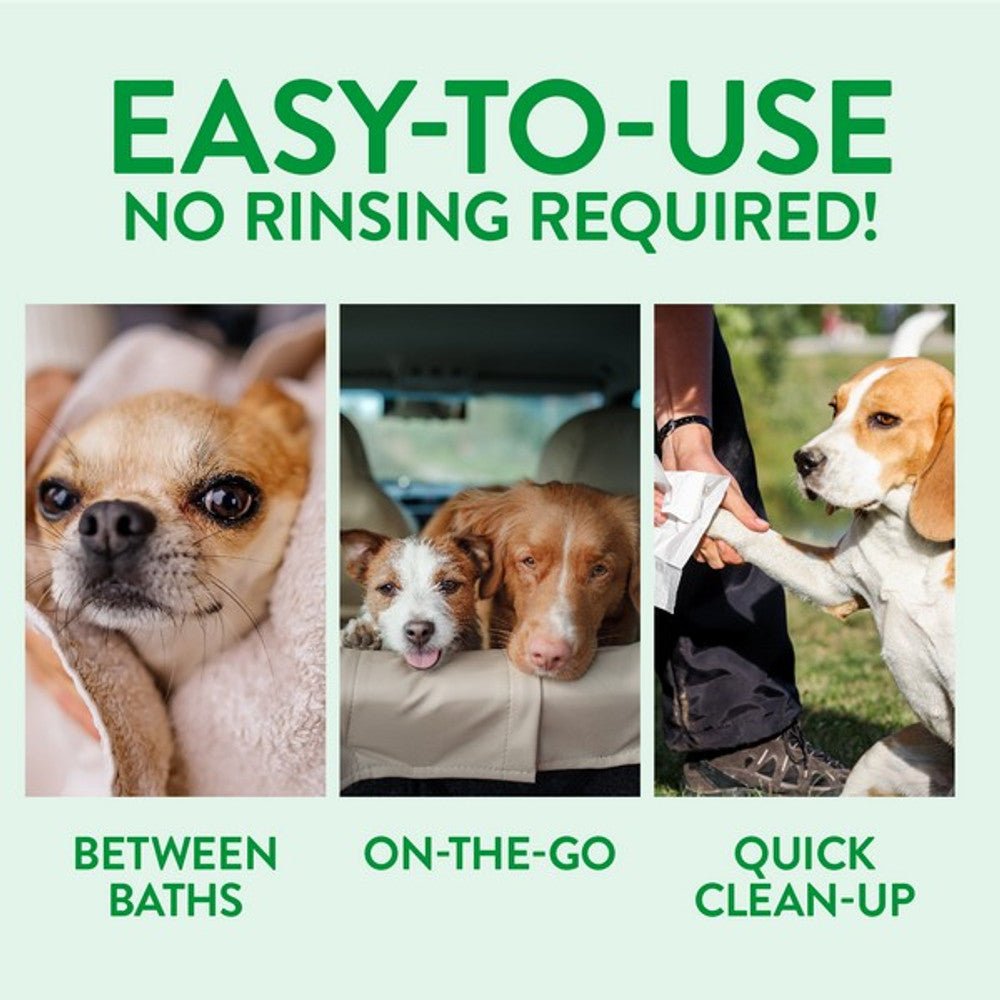 TropiClean Waterless Dog Shampoo - Hypoallergenic 220ml Dog Supplies TropiClean