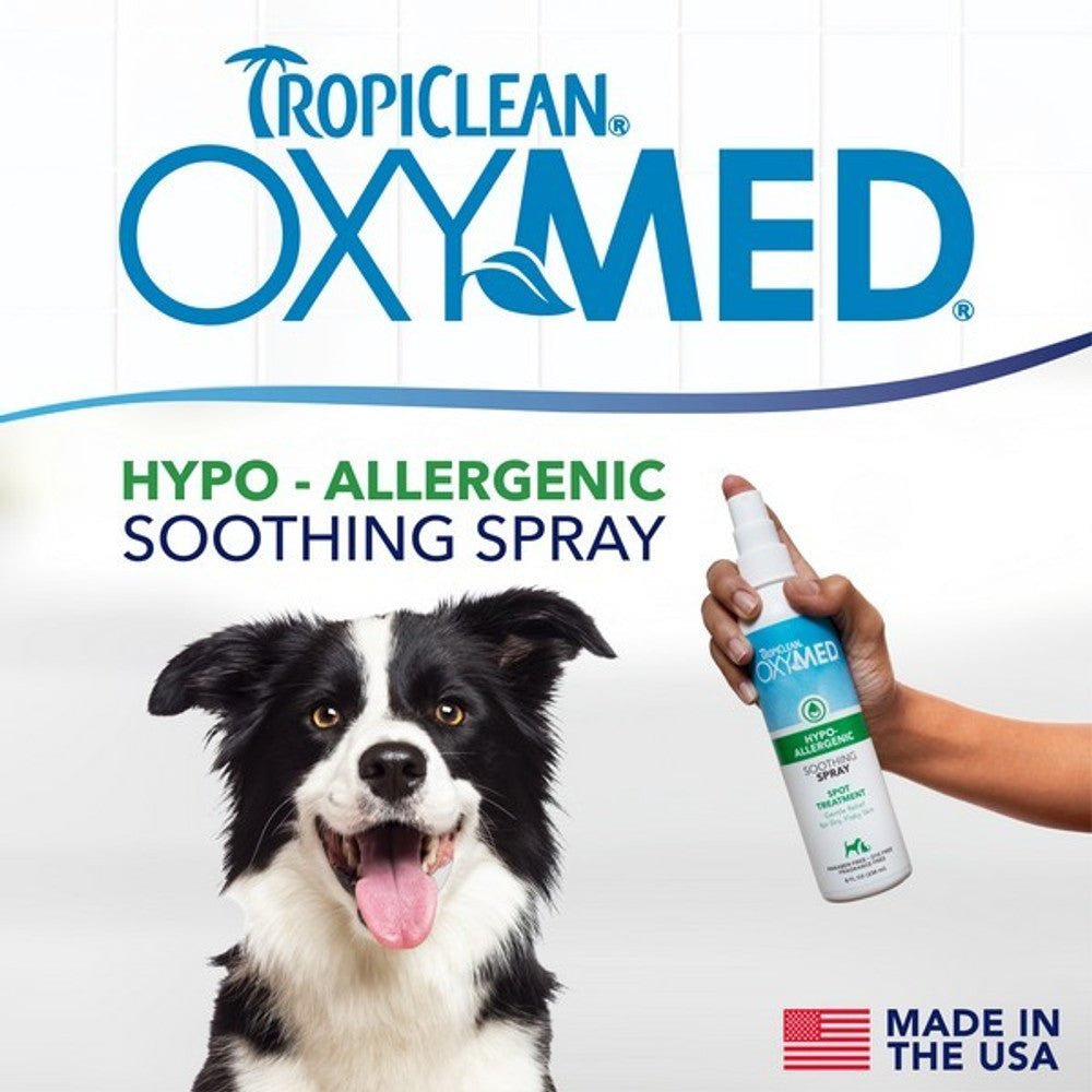 TropiClean OxyMed Hypoallergenic Anti Itch Spray for Dogs 236ml Dog Supplies TropiClean