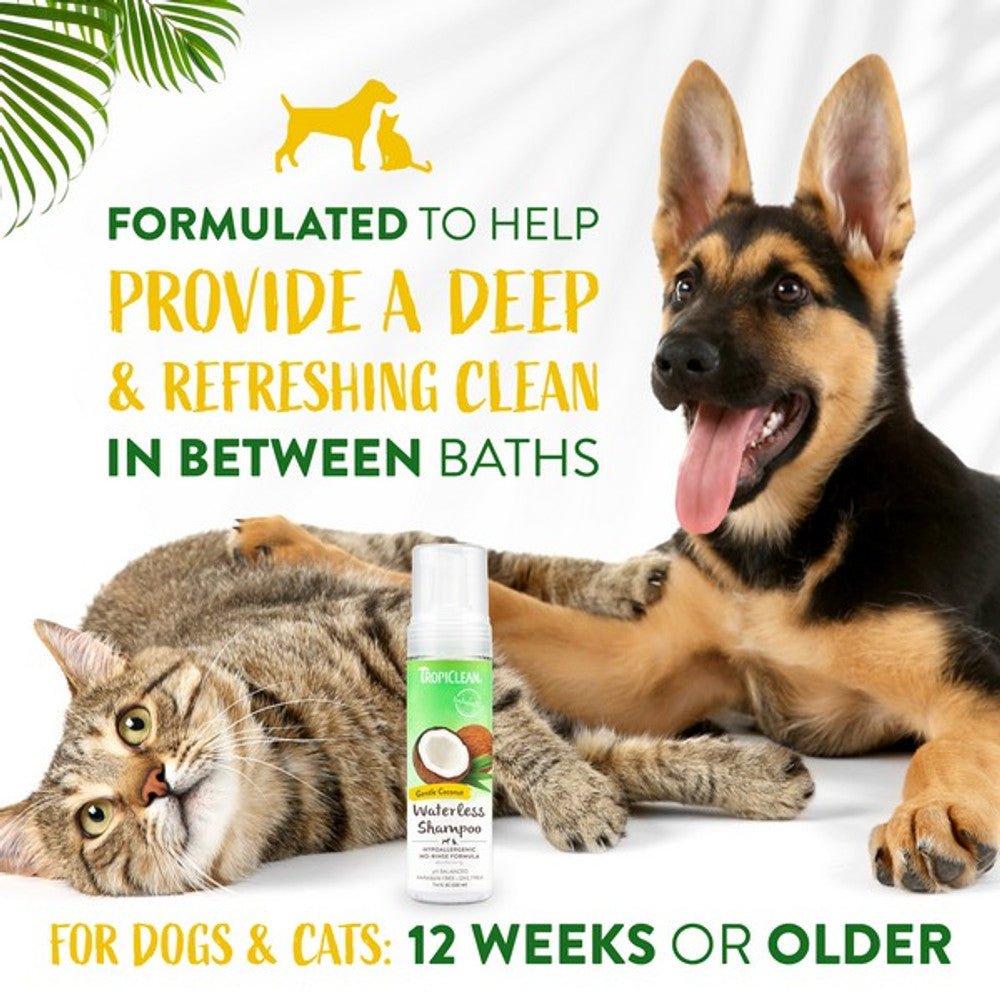 TropiClean Waterless Dog Shampoo - Hypoallergenic 220ml Dog Supplies TropiClean