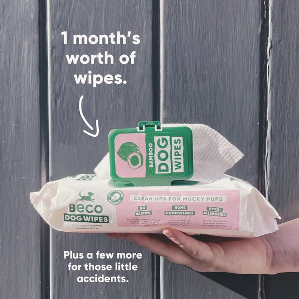 Beco Bamboo Dog Wipes Coconut - 80 Wipes Dog Supplies Beco