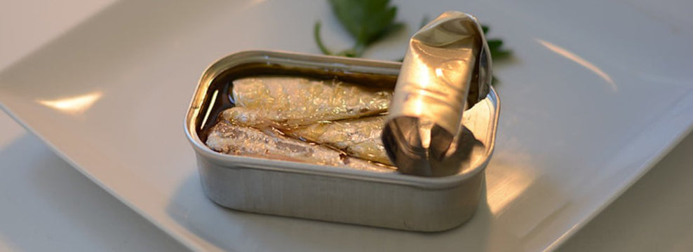 Can Dogs Eat Canned Sardines?
