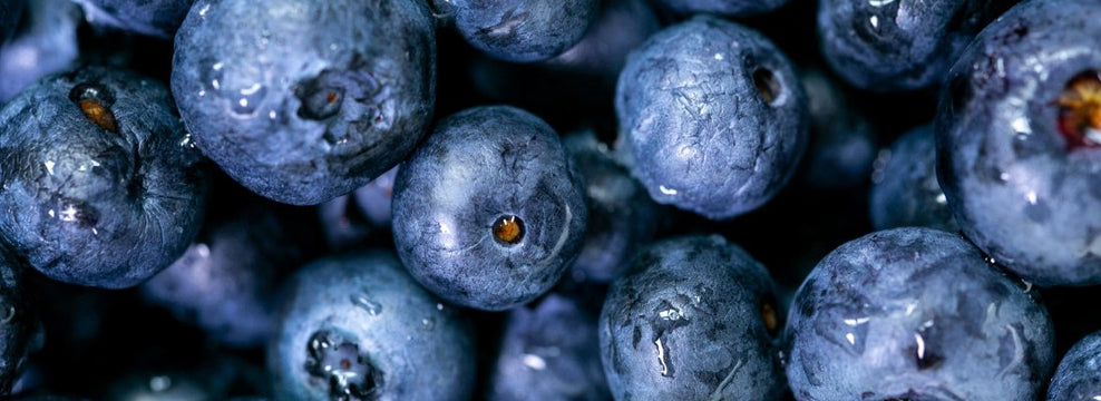 Can Cats Eat Blueberries?