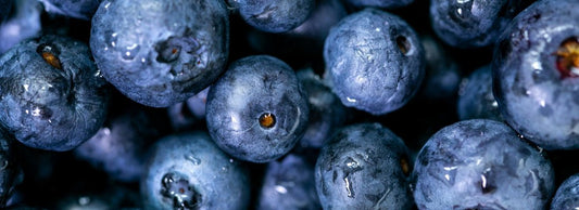 Can Cats Eat Blueberries?