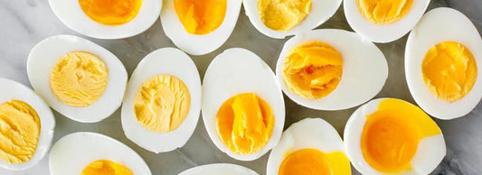 Can Cats Eat Eggs?