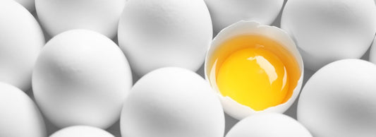 Can Cats Eat Raw Eggs?