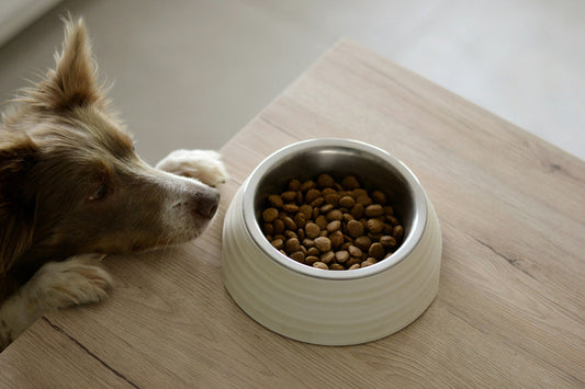 Can Dogs Eat Cranberries?