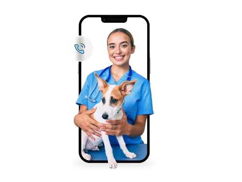 Veterinary support