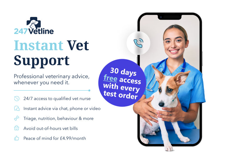 Ultimate Pet Food Sensitivity Test