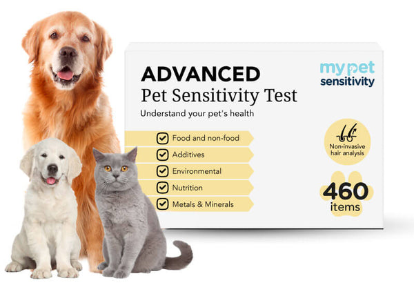 Advanced Pet Sensitivity Test 460 Food Ingredients Tested My