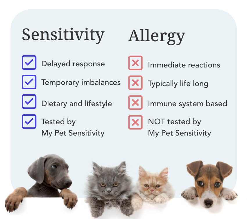 the-difference-between-allergy-and-sensitivities