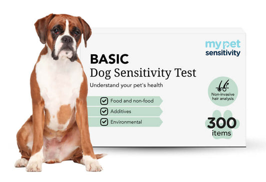 Dog food intolerance test