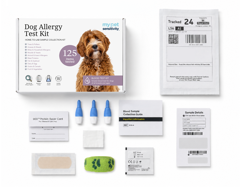 Dog Allergy Test