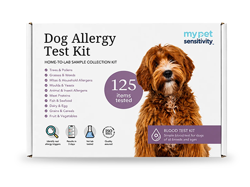 Dog Allergy test