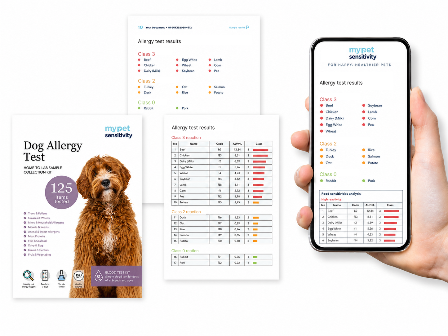 Dog Allergy Test