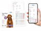 Dog Allergy Test